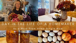 Day In The Life Of a Homemaker | As a Work From Home Single Mom