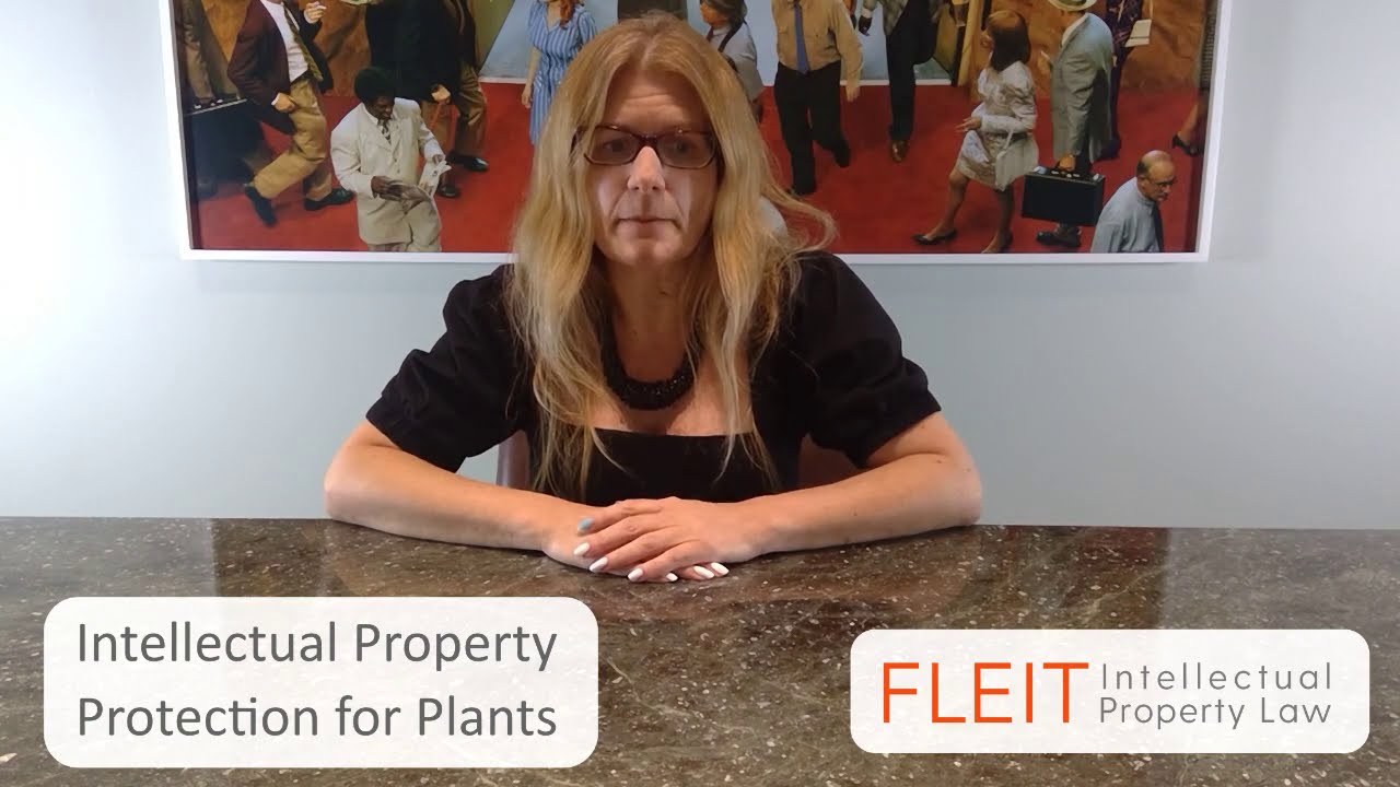 IP Minute, Katharine Davis Wong, Intellectual Property Protection for Plants
