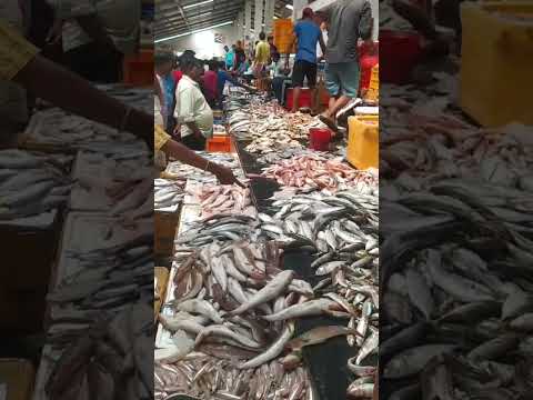vanagaram fish market