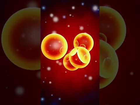 Элементарные частицы и их массы. Стандартная модель и бозон Хиггса #science #наука #universe#physics