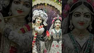 Radha Radha #ytshorts #viral #love #song trending@Montukiudan