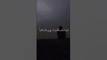 القرآن الكريم نور وهداية 🤍⁦❤️⁩