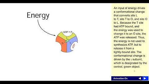 Binding change mechanism of ATP synthesis