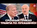 😮ВЫ НЕ ПОВЕРИТЕ, что решил Трамп по Лукашенко! США озвучили решение, от которого все ОСТОЛБЕНЕЛИ