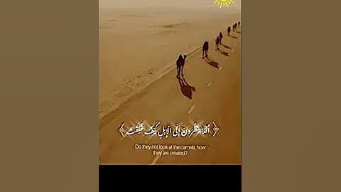 فِي جَنَّةٍ عَالِيَةٍ🍀[ 10]سورة : الغاشية @ القارئ عبدالرحمن مسعد#تبارك وتعالىquran kerem