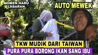 🔴 MENGHARUKAN‼️TKW MUDIK DARI TAIWAN KASIH KEJUTAN BUAT IBU YANG SEDANG JUALAN IKAN