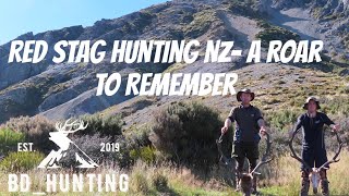 Red Stag Hunting Nz A Roar To Remember