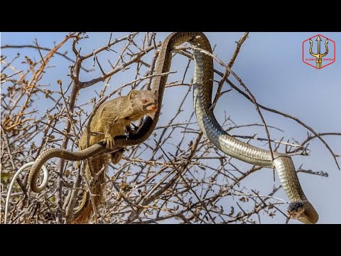 Video: Sodwana Bay, Südafrika: Der vollständige Leitfaden