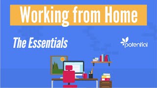 Work from Home: The essentials needed to keep you productive while you stay and work at home