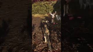 santuary fight... trike and allos | #gtown526 on #Twitch