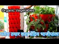 घरीच तयार करा सेंद्रिय भाजीपाला / Home made Organic vegetable / आता मिळवा कमी जागेत भरपूर उत्पादन