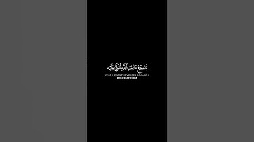 ما تيسر من سورة الجاثية | القرآن الكريم | القارئ ياسر الدوسري | كروما