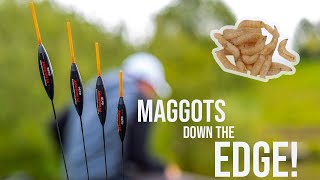 Maggots Down The Edge | Weston Pools Fishery