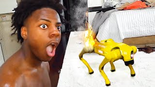 Celebrity iShowSpeed Accidently BREAKS His $50,000 Robot Dog.. 😂 Wealth