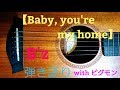 【歌うま】「Baby, you're my home」 B'z 弾き語り withピグモン (ショートスケールアコースティックギター)