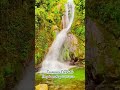 Tousovan falls bongolanon magpet cotabato nature fallsounds