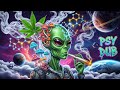 PSY DUB 🌀 Reggae and Dub Music with Psychedelic Echoes to Expand Your Consciousness Slowly