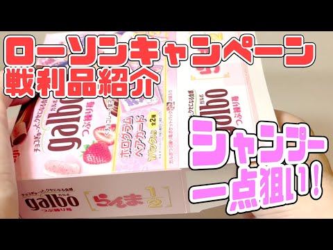 らんま1/2 ホログラムペアカード　コンプセット② ローソン　ガルボ らんま1/2 ホログラムペアカード コンプセット② ローソン