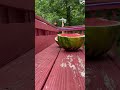 How to properly cut a watermelon  surprise katana