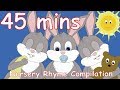 Sleeping bunnies and lots more nursery rhymes 45 minutes