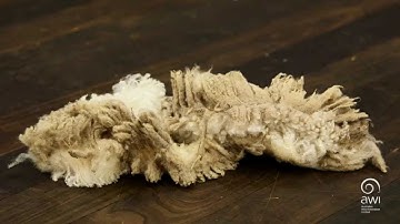 AWI Basic Wool Handling - Oddments and Cast Lines