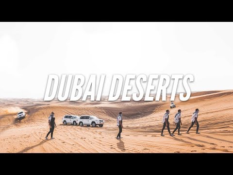 DUBAI DESERT SAFARI WAS INSANE! thumbnail