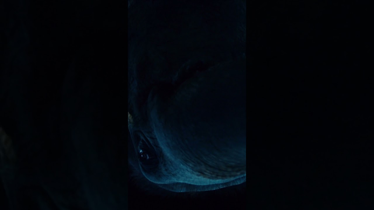 ⁣Zookeeper | Talking Elephant #Shorts