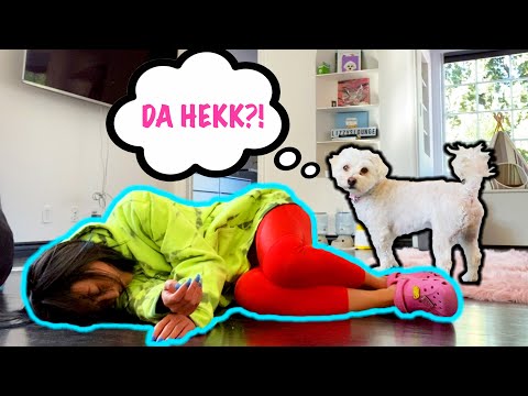PRETENDING TO FAINT IN FRONT OF MY DOG!!