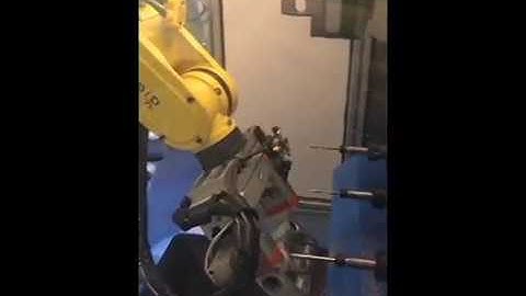 Die Casting Dual Robot Cell  Mini-Clip - RCM Industries