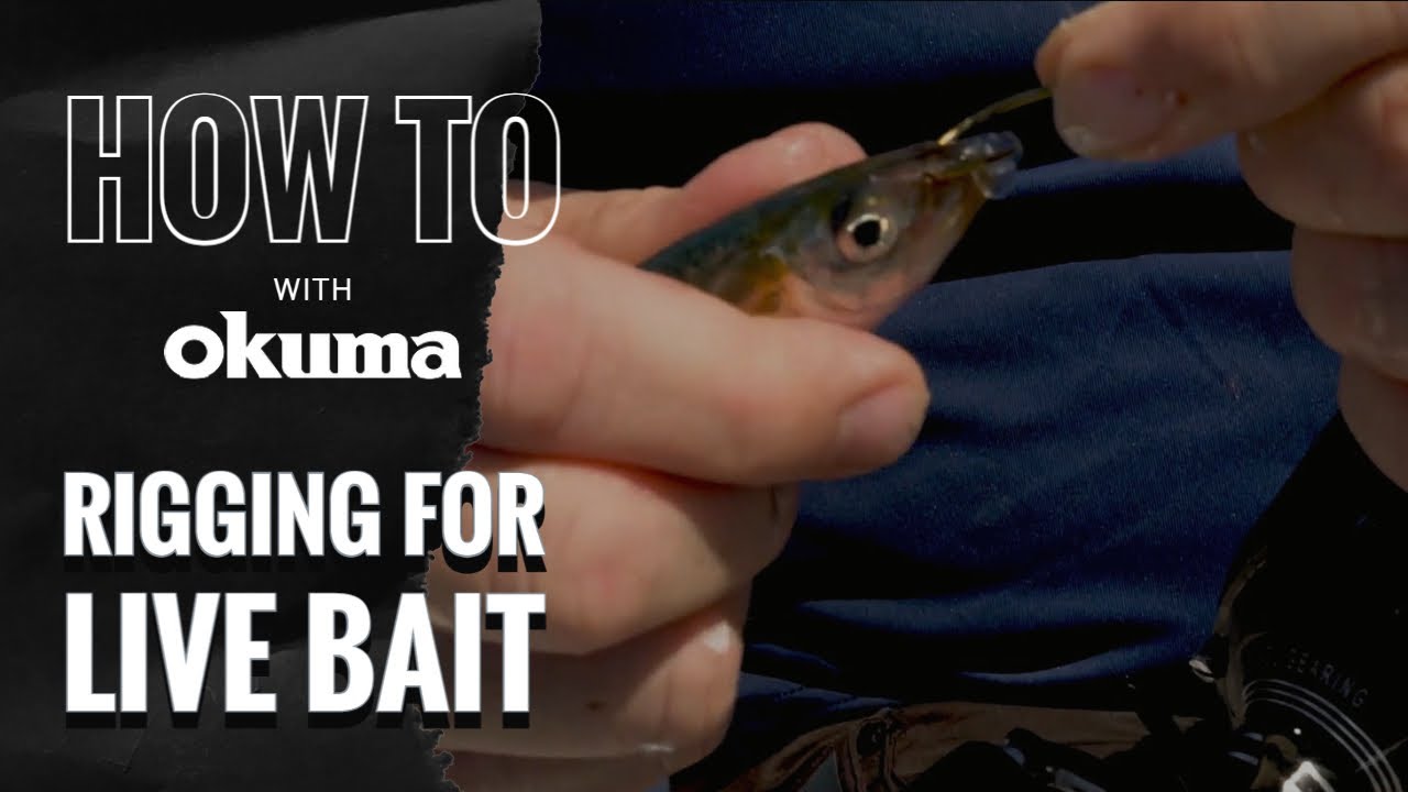 Okuma How To - Rigging for Live Bait 