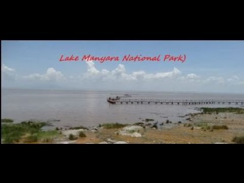Видео: Национален парк Lake Manyara: Пълното ръководство