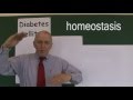 Diabetes 2, Blood Glucose Homeostasis