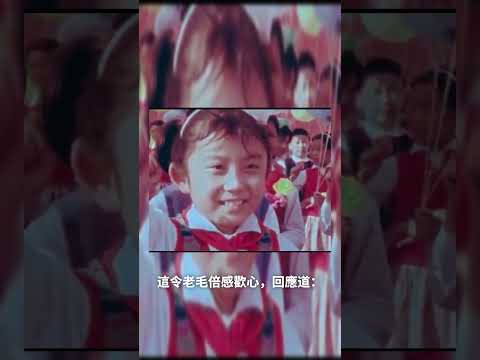 波尔布特与毛泽东| 徐某人很短 #中越战争