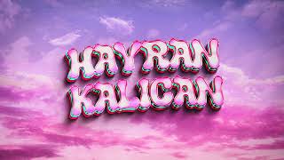 Çakal  HAYRAN KALICAN Official Video