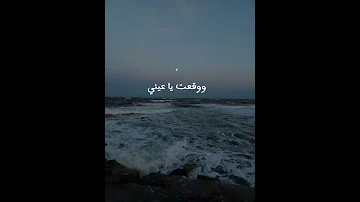 شوفته وشدني 
