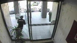 Grab and smash, bag-thief runs through glass door - no comment