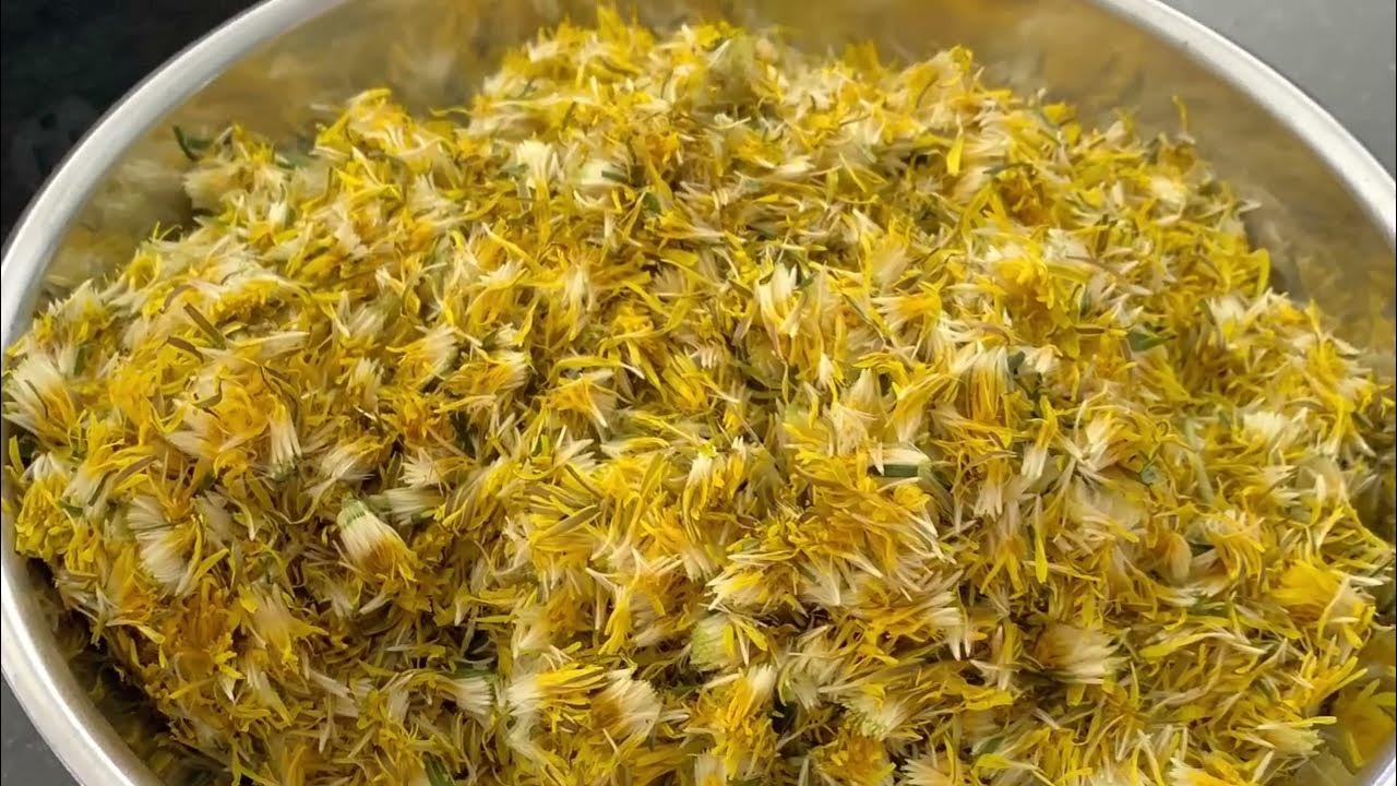 Dandelion Wine YouTube