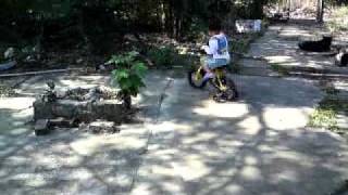 MOV01239.MP4(14-11-2010)