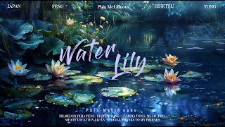 Water Lily-Relaxing Music Stress Relief Music, Sleep Music, Meditation Music, Study, Calming Music