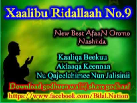 Ustaaz Xaalibu Ridallaah No 9 Best Nashiidaa Afaan Oromo Khaaliqa Beekhu Akhlaaqa Keenya