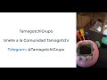 Tamagotchi Paradise Tama Lab
