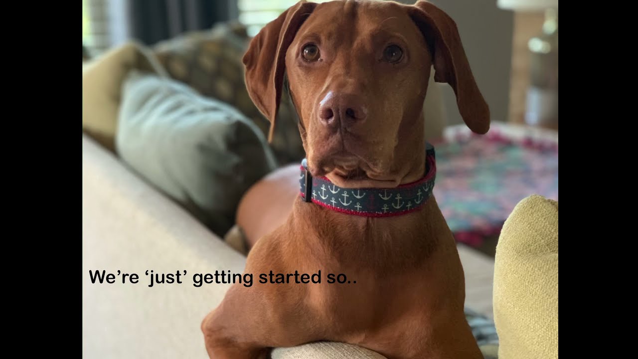 Cunningham Lake Campground