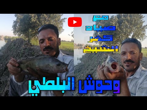 الطريقه الصحيحه للصيد بافضل ريم مخوش بعد بخ الزريعه Fishing 