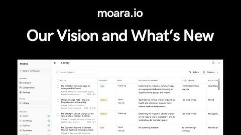 Inside moara.io | Our Vision and What