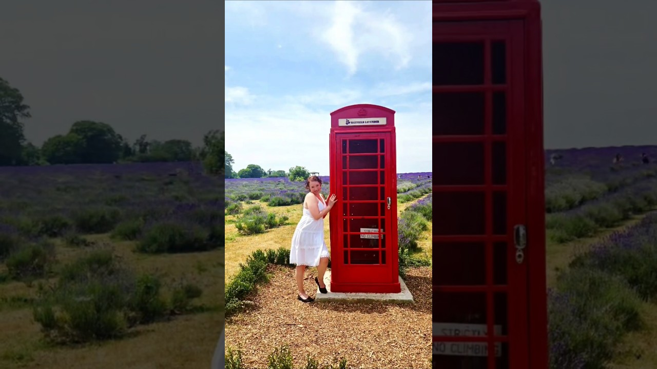 Why You Should Visit Mayfield Lavender Farm 🪻