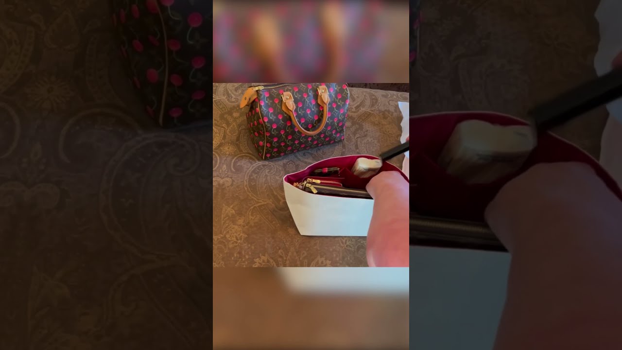 Louis Vuitton Speedy 25 Organizer From 19neatthin