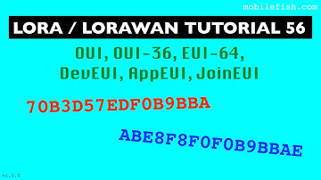 LoRa/LoRaWAN tutorial 56: OUI, OUI-36, EUI-64, DevEUI, AppEUI, JoinEUI