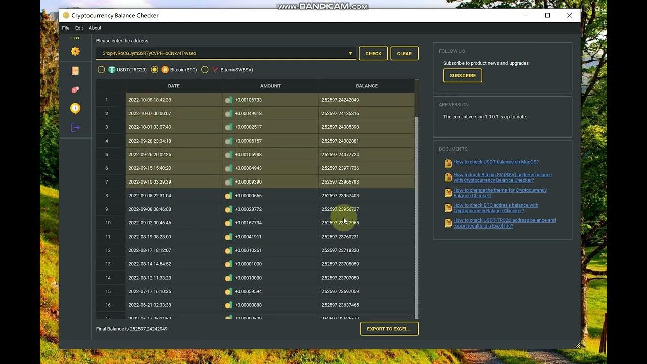 view-the-current-balance-history-of-any-bitcoin-usdt-trc20-bsv-btc