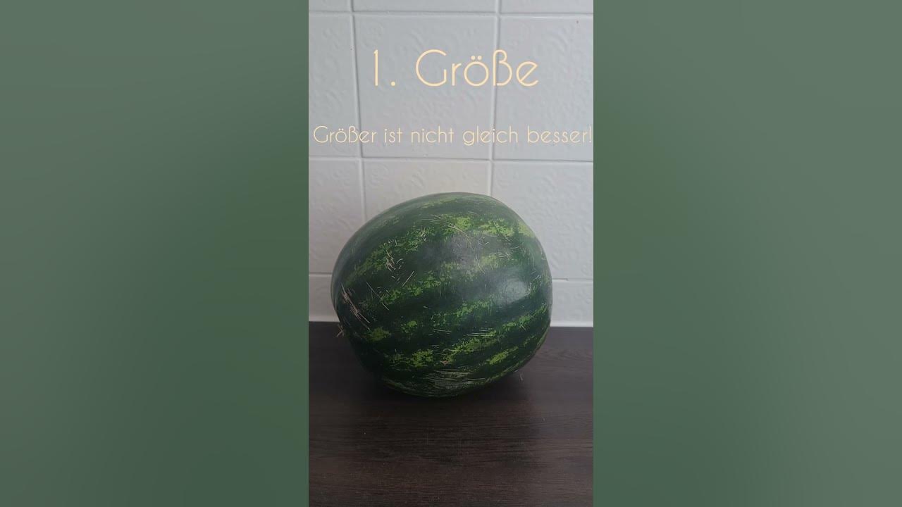 Wassermelone wann ist sie reif? YouTube
