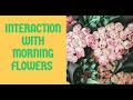 INTERACTION WITH MORNING FLOWERS